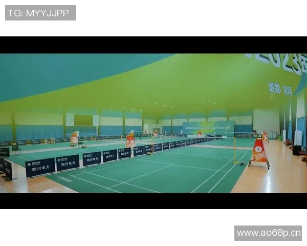 羽毛球热议：成都羽毛球队在速度问题上的争论与思考